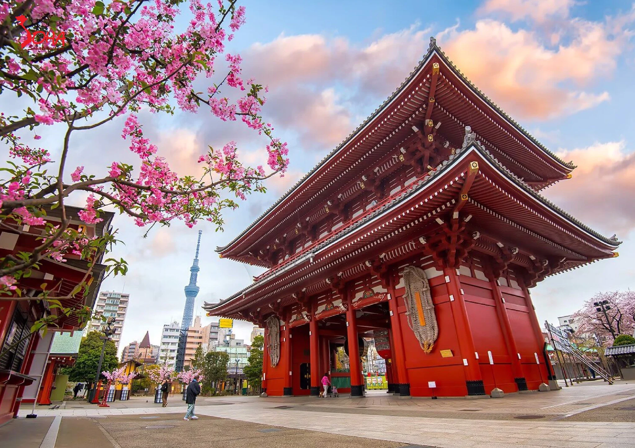 CUNG ĐƯỜNG VÀNG NHẬT BẢN 6N5Đ: OSAKA – KYOTO – NAGOYA – PHÚ SĨ – TOKYO