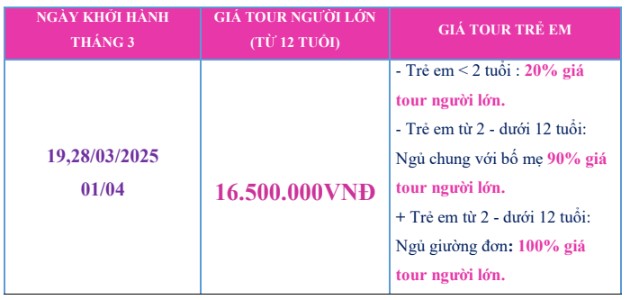 Bảng giá tour - Tour Hàn Quốc 5N4Đ: Seoul - Yeouido - Everland - Starfield từ Hồ Chí Minh