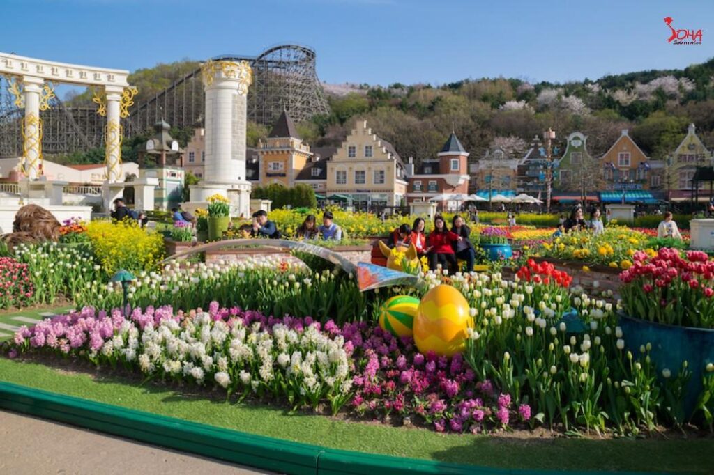 Everland Theme Park