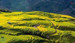 Tháng 11 nên đi du lịch ở đâu Miền Bắc? Gợi ý 9 điểm đến hấp dẫn