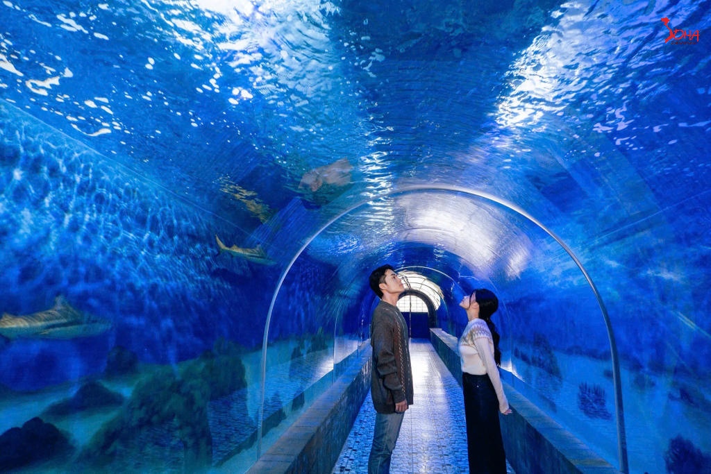 tour mien trung 3n3d nha trang vinh san ho vinpearl harbour 1.jpg(1) Tour Miền Trung 3N3Đ: Nha Trang - Vịnh San Hô - Vinpearl Harbour từ HCM