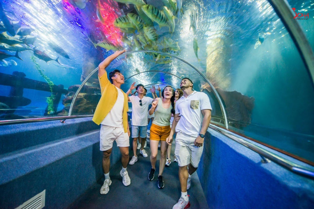 tour mien trung 4n3d nha trang con se tre buffet hai san da dang 7.jpg(1) Tour Miền Trung 4N3Đ: Nha Trang - Con Sẻ Tre - Buffet hải sản đa dạng từ HCM