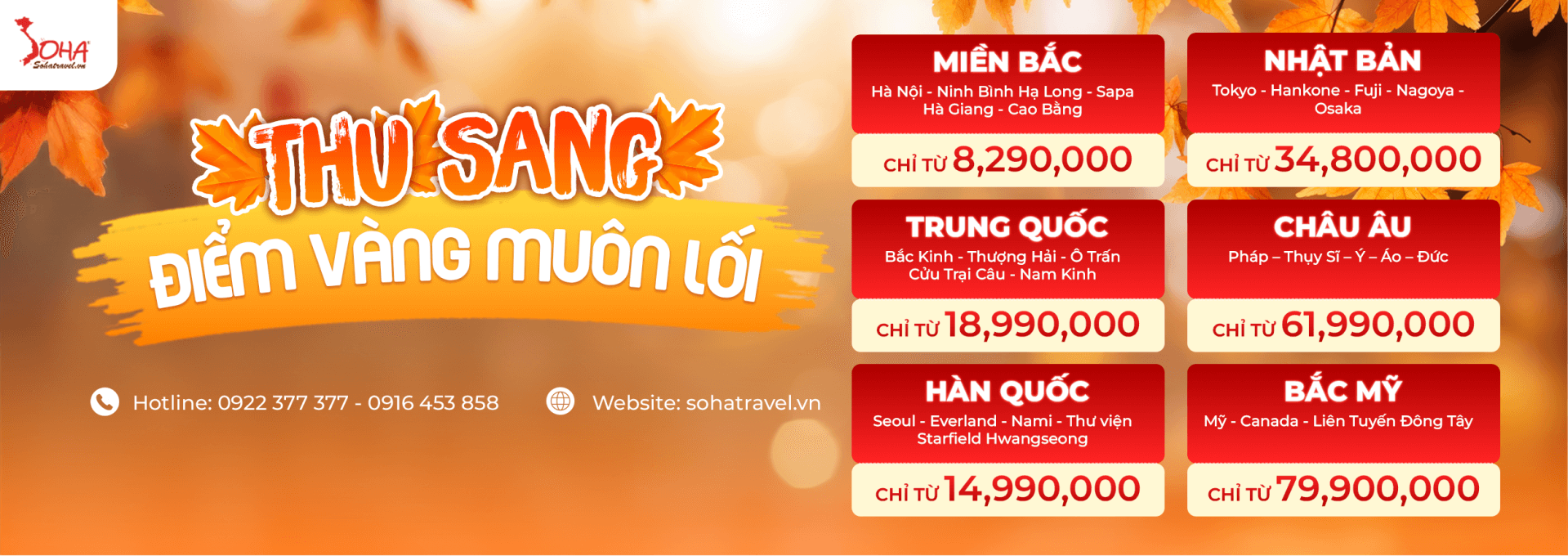 Tour mùa thu - Soha Travel