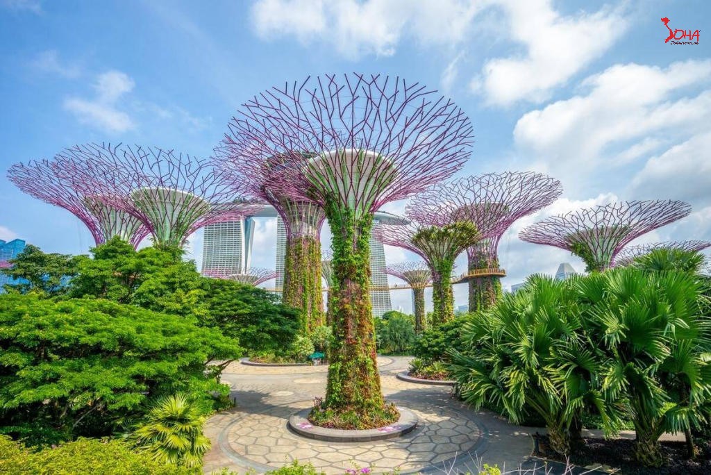 Đi du lịch Singapore cần bao nhiêu tiền? Chi phí trọn gói chi tiết 2025