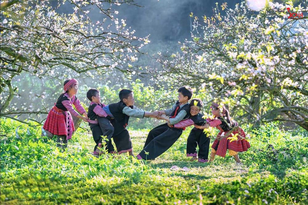 Tháng 12 du lịch ở đâu Việt Nam? Gợi ý hành trình hoàn hảo cho mùa cuối năm