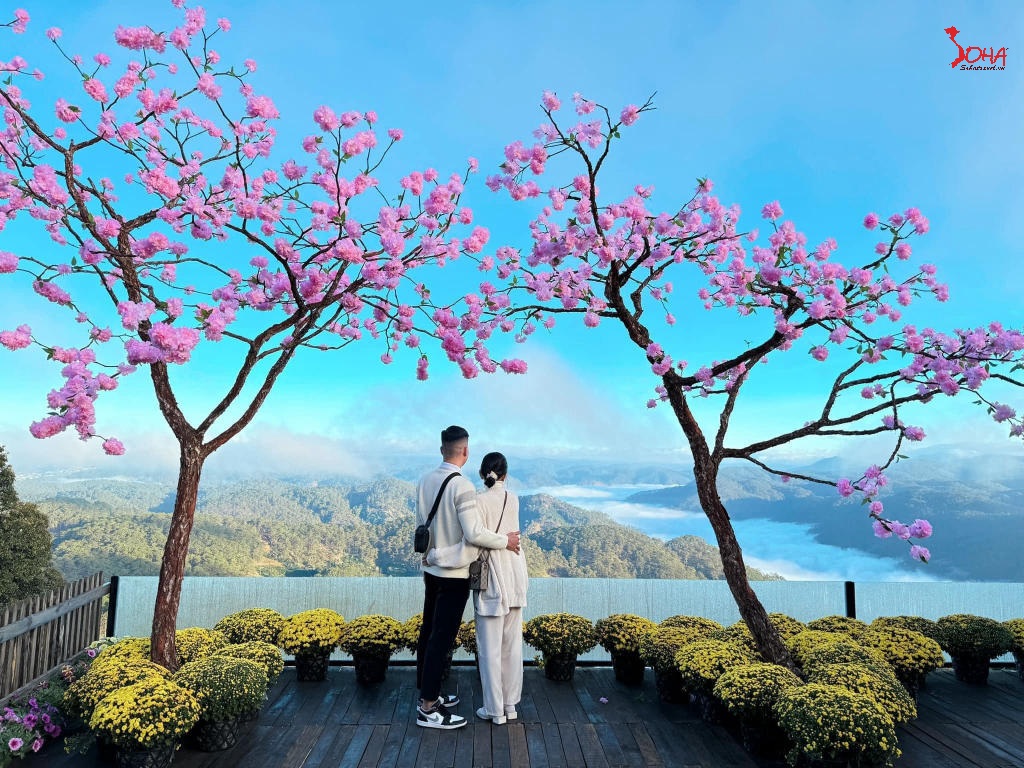 tour da lat nha trang 3n3d cung duong lien tuyen hoa va bien 1.jpg(1) Tour Đà Lạt - Nha Trang 3N3Đ: Cung Đường Liên Tuyến Hoa và Biển từ HCM