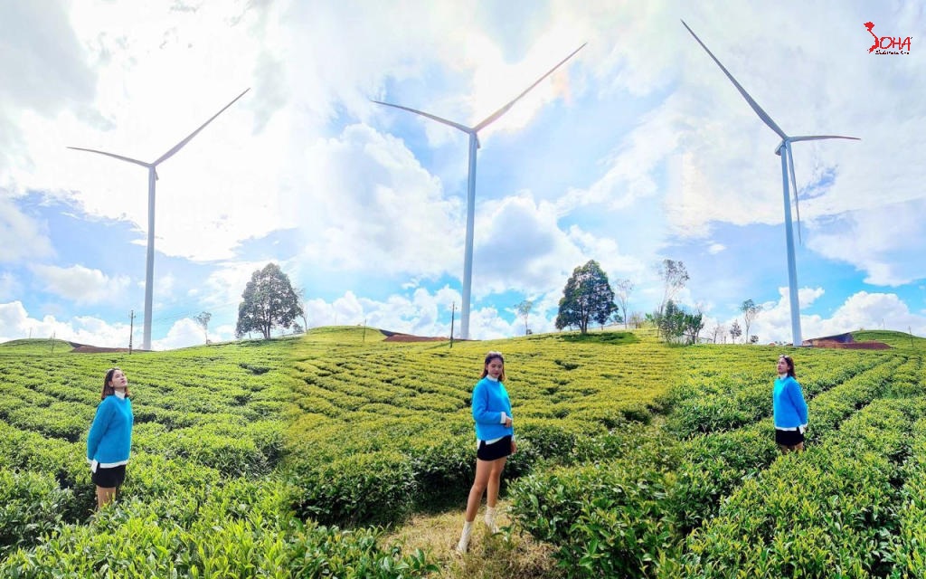 tour da lat nha trang 3n3d cung duong lien tuyen hoa va bien 2.jpg(1) Tour Đà Lạt - Nha Trang 3N3Đ: Cung Đường Liên Tuyến Hoa và Biển từ HCM