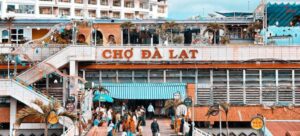 Tour Đà Lạt - Nha Trang 3N3Đ: Cung Đường Liên Tuyến Hoa và Biển từ HCM