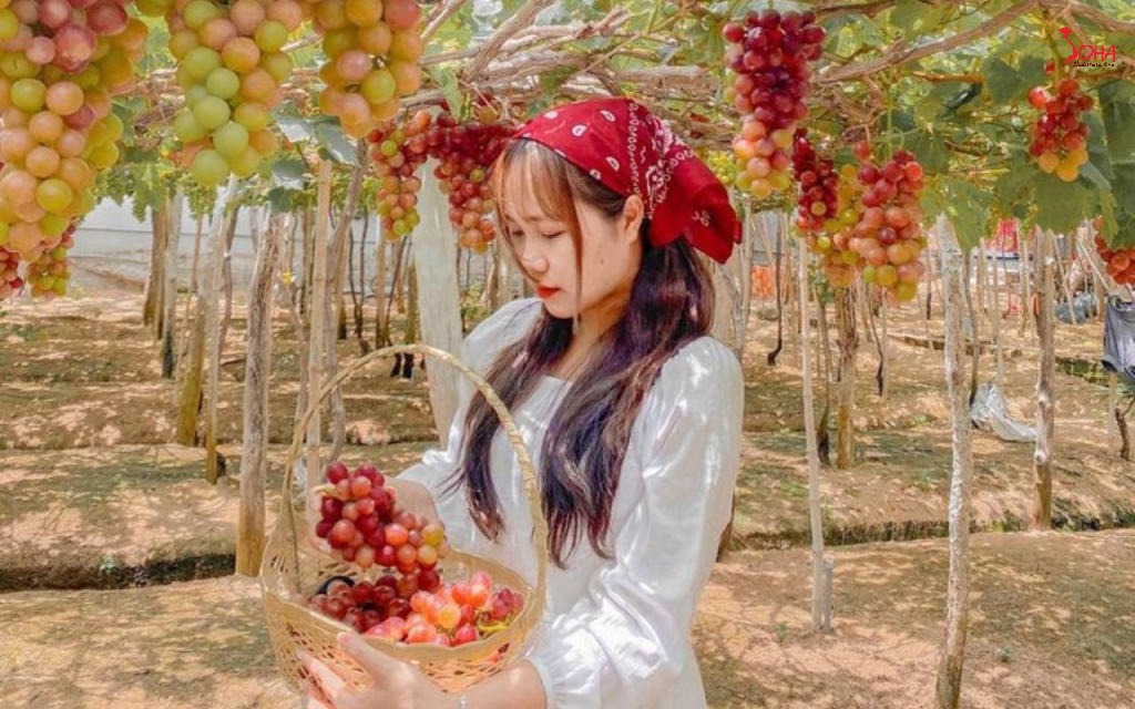 tour mien trung 3n2d nha trang vinh san ho hang rai 13.jpg(1) Tour Miền Trung 3N2Đ: Nha Trang - Vịnh San Hô - Hang Rái từ HCM