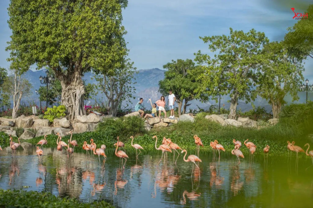 tour mien trung 3n2d nha trang vinh san ho hang rai 5.jpg(1) Tour Miền Trung 3N2Đ: Nha Trang - Vịnh San Hô - Hang Rái từ HCM