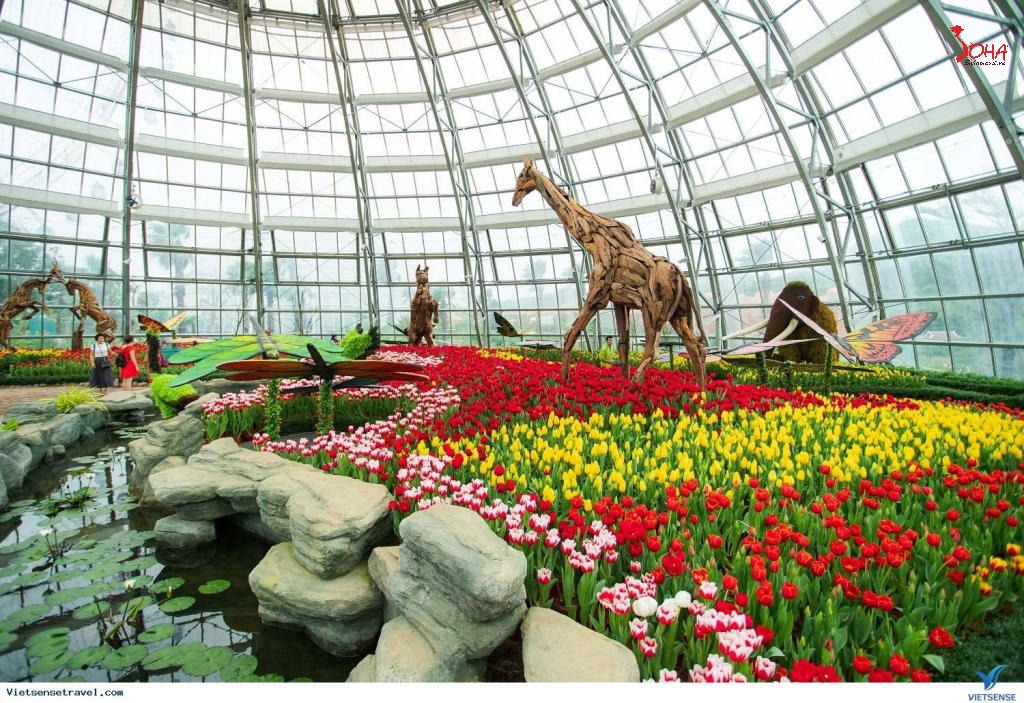 tour mien trung 3n2d nha trang vinh san ho hang rai 6.jpg(1) Tour Miền Trung 3N2Đ: Nha Trang - Vịnh San Hô - Hang Rái từ HCM