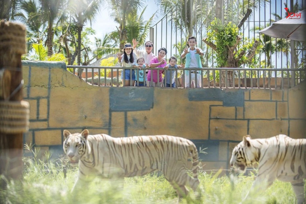 tour mien trung 4n3d nha trang vinh san ho vinh nha phu dao khi 2.jpg(1) Tour Miền Trung 4N3Đ: Nha Trang - Vịnh San Hô - Vịnh Nha Phú - Đảo Khỉ từ HCM