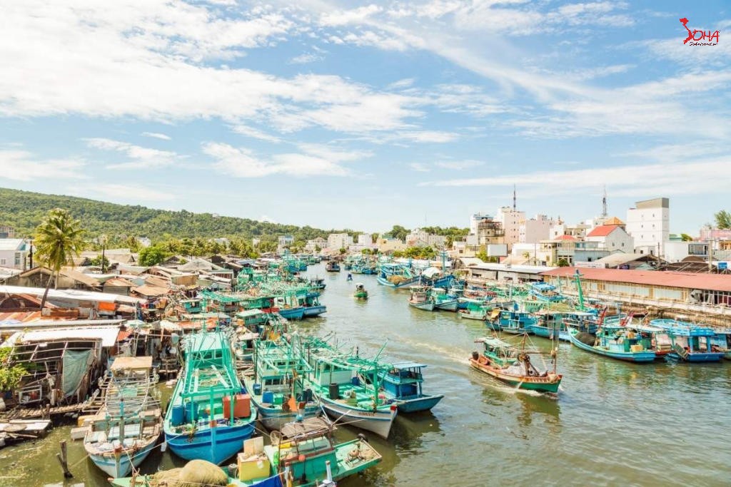 tour mien tay 3n2d phu quoc cau ca lan ngam san ho nam dao bac dao tu hcm 17.jpg
Tour Miền Tây 3N2Đ: Phú Quốc - Câu Cá Lặn Ngắm San Hô - Nam Đảo - Bắc Đảo từ HCM
