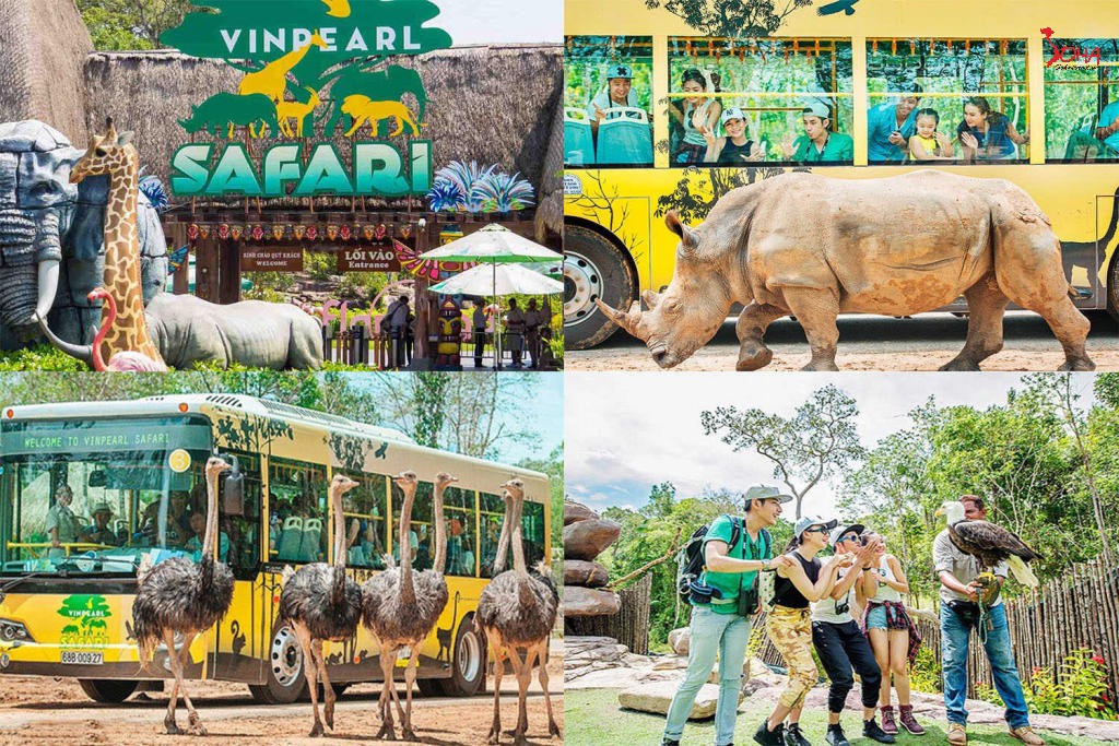 tour mien tay 3n2d phu quoc cau ca lan ngam san ho nam dao bac dao tu hcm 19.jpg
Tour Miền Tây 3N2Đ: Phú Quốc - Câu Cá Lặn Ngắm San Hô - Nam Đảo - Bắc Đảo từ HCM