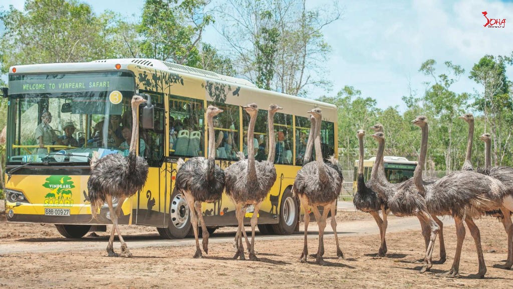 tour mien tay 3n3d phu quoc 4 dao bai sao tu HCM 4.jpg Tour Miền Tây 3N3Đ: Phú Quốc - 4 Đảo - Bãi Sao từ HCM